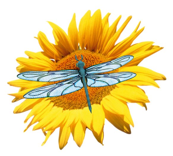 !!! NEW !!! Dragonflies Aquamarine