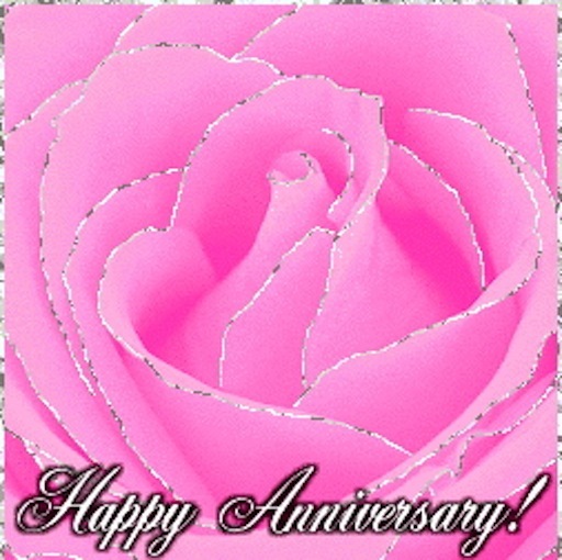 Happy Anniversary Pink Rose