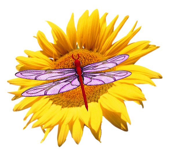 !!! NEW !!! Dragonflies Garnet