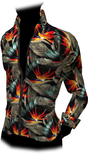 Aloha - 06