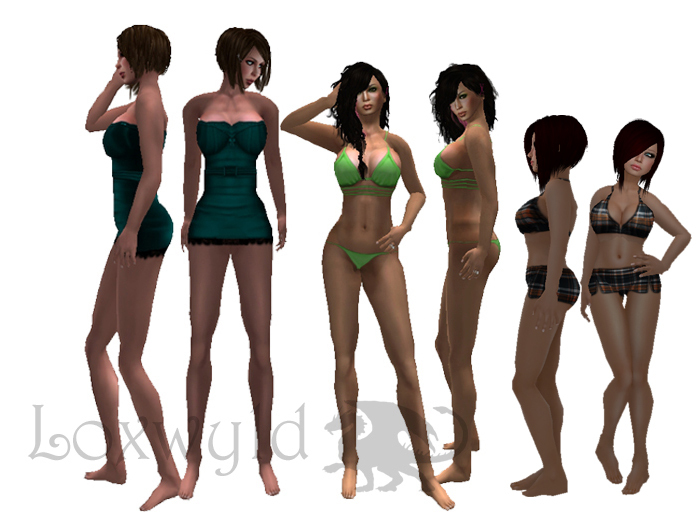 Loxwyld D Cup Fat Pack