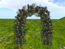 Archway:Wild Rose White (These lovely bridal, anniversary and party foliage arches are in our landscaping section)