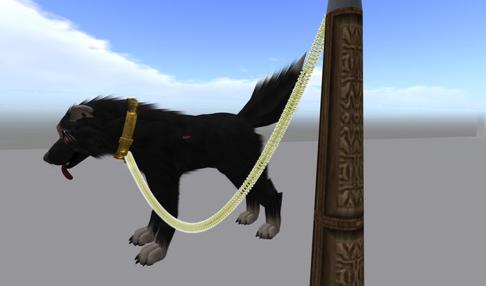 Twi Gold leash open collar