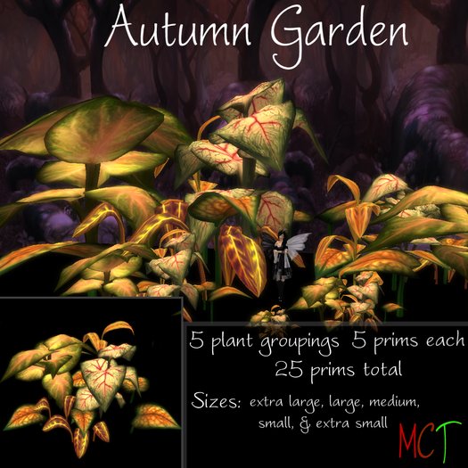 Autumn Garden - Transfer