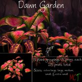 Dawn Garden - Transfer