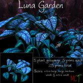 Luna Garden - Transfer