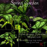 Spring Garden - Transfer