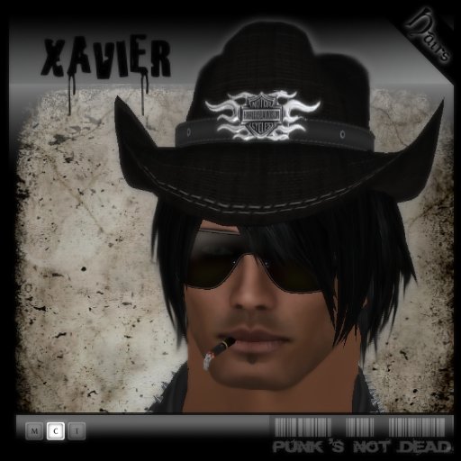 --[ PnD ]--  Hairs Xavier - Pack II