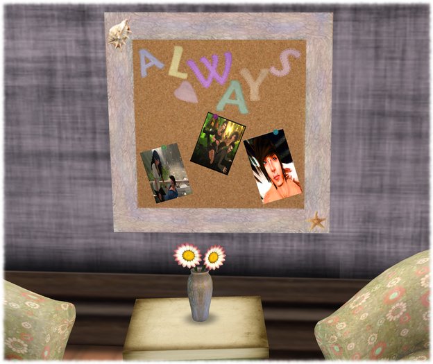 Dysdinkd Photo Cork Board