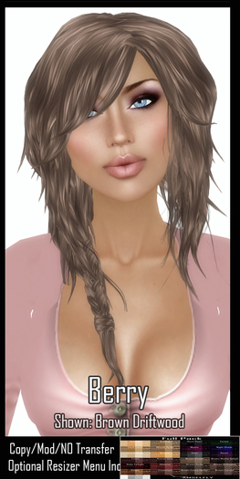 *~*DEMO*~*Damselfly*~*Berry