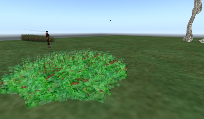 Strawberry plant