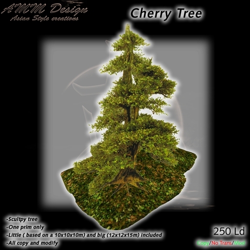 *AMM Design Landscaping / Plant Cherry Tree 