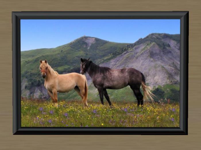 Grazing Beauty