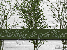 FULL PERM 3 Climbing Branch Vine Alpha Textures