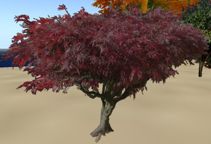 Roter Baum