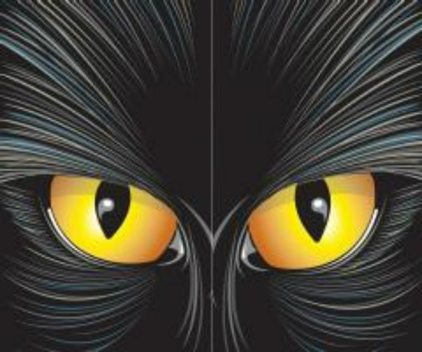 Cats Eyes Poster
