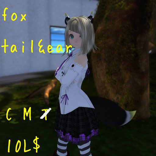[ca]fox tail&ear
