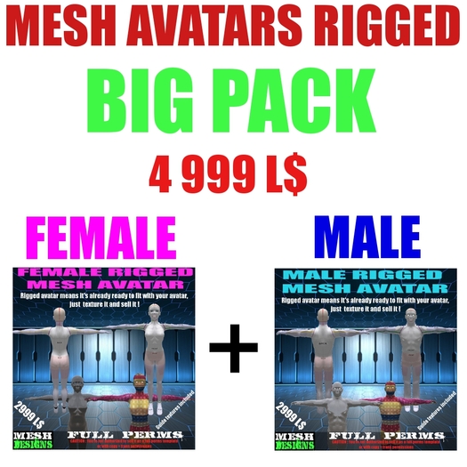 Pack of male and female avatars rigged (full perms) - Builder edition