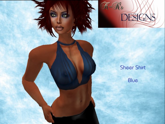 Sheer Shirt Blue