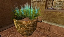 hidden vase and flowers 