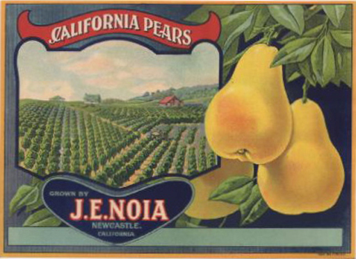 Second Life Marketplace - Vintage Pear Produce Crate Label [Texture]