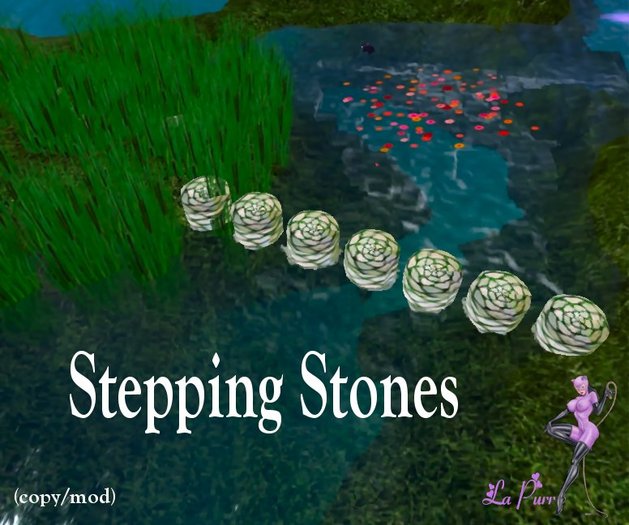 Stepping Stones-box