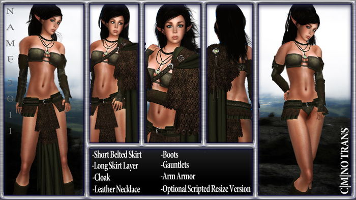 (N.A.M.E.) Nordic Forest Armor -BOXED