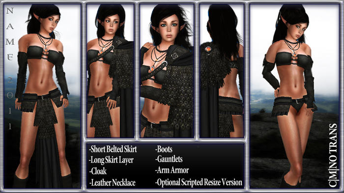 (N.A.M.E.) Nordic Smoke Armor