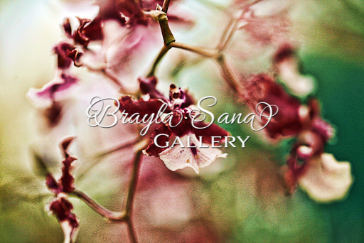 [br] Orchid Love