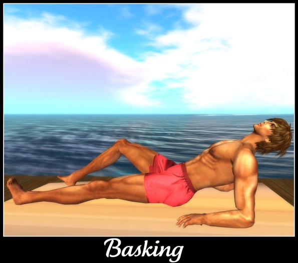 Pics n Poses - M - Basking