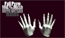 Full Permission - Mesh Hands - Female