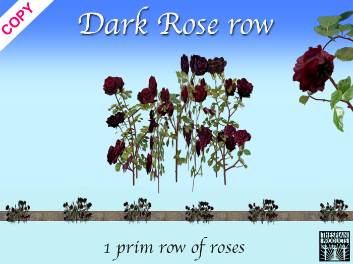 Rose row DARK