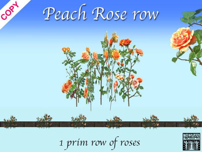 Rose row PEACH