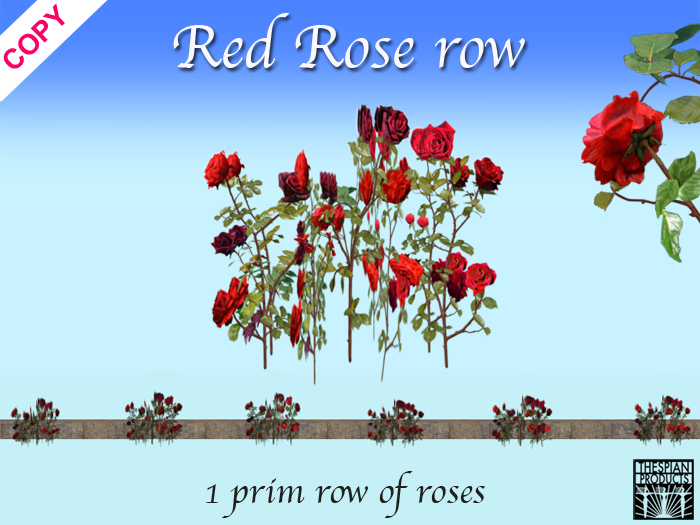 Rose row RED