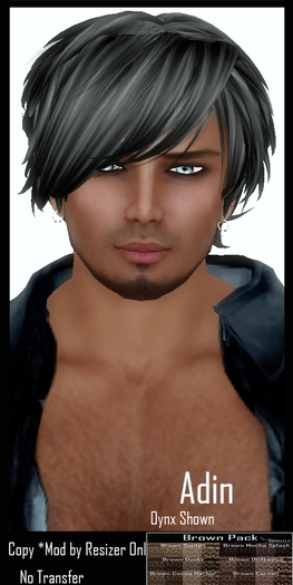 *~*Damselfly*~*Adin Browns