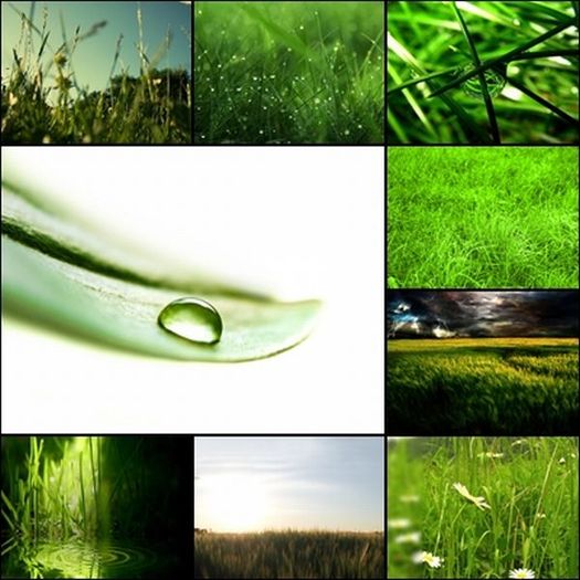 9 BACKGROUNDS GRASS!! PROMO!!