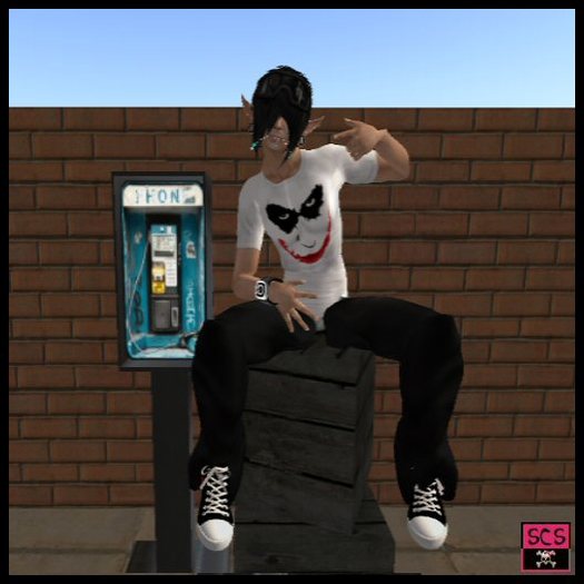 [SCS] Insane In The Membrane Pose & Urban Scene Boxed