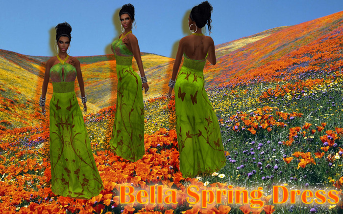 Bella Spring Dress
