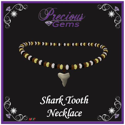 *PG* Shark Tooth Necklace [Boxed]