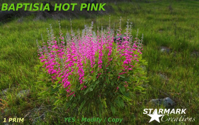 Baptisia hot pink from STARMARK CREATIONS