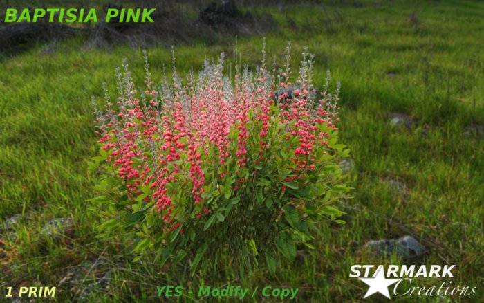 Baptisia pink from STARMARK CREATIONS