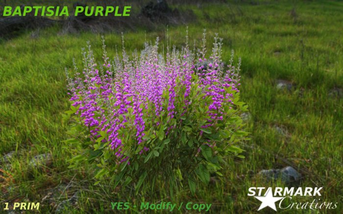 Baptisia purple from STARMARK CREATIONS
