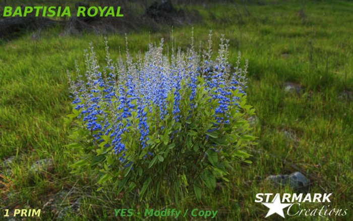 Baptisia royal from STARMARK CREATIONS