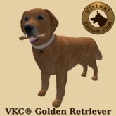 VKC® Golden Retriever - Artificially Intelligent (AI) Trainable Dog - No Food Required - Virtual Kennel Club Dogs