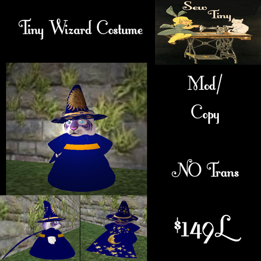 Tiny Wizard Costume