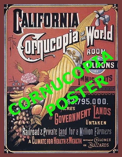 Cornucopia poster