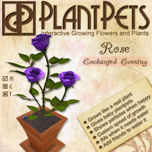 PlantPet Seed [Rose *Enchanted Evening*]