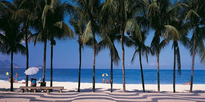 Panoramawall Palms