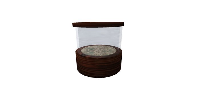 Pet Rock Tank