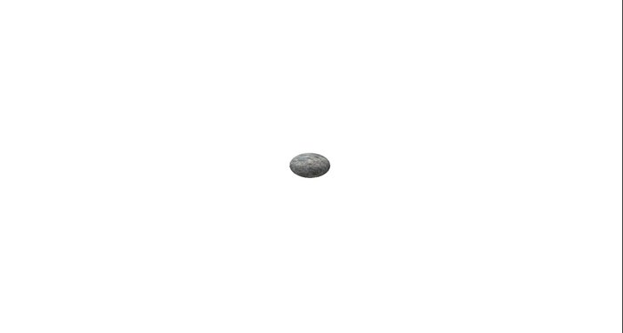 Pet rock